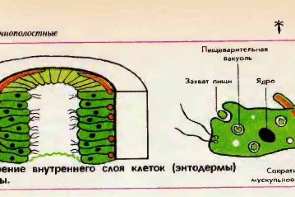 Кракен счет